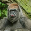 mrmonkeyman27