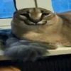 bxcksh0t