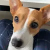ellenrocr