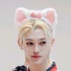 luvcat