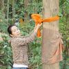 user30201178134612