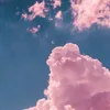 practicalitiez