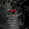dleke_aza44