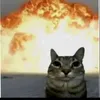 the_fet
