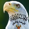 الرضا والنور