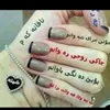 user11513938079214
