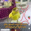 zian7182