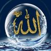 user2675170582634