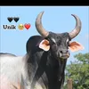 user9263160213102