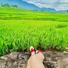 nhat_han_princess