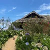 huyensam0712