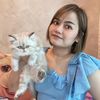 kissy_cats_home