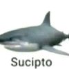 allpin_98