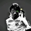 aliips.ftbl17