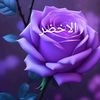 user3590016726548