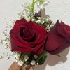user3301516702681