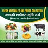 agriculture262