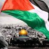 mahmoud.elmahfoudy