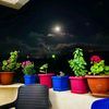 hossamharb132