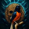 karim_pingin_rk