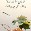 kamel.abasi