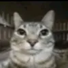 ilikecoolstuff5