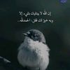 tamatamy88