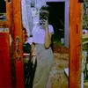 jesiegeraldizo04