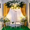 ranni.backdrop
