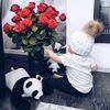 dy2i9hvo6sxk