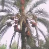 mohamedaliouich7