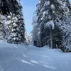 bonheur.vritable
