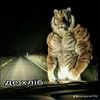 superkrutoi118