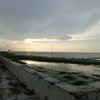 wilsonmiranda0516
