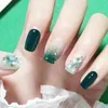 anna_panda368