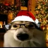 miinhmiinh24