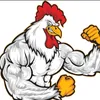 gallus370