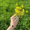 user95512321101658