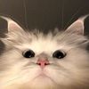 wow_33345
