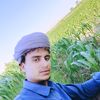 user702127733040