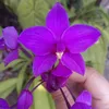 belen.g18