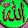 user5065643646273