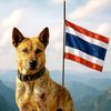 tnnews308