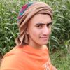 hamed_23_