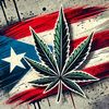 fadedpuertorican_420