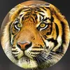 antonioromao7_