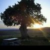 leventcelik782