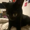arsenchik_999