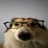 m3l1vvy