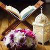 nourmostafa2633